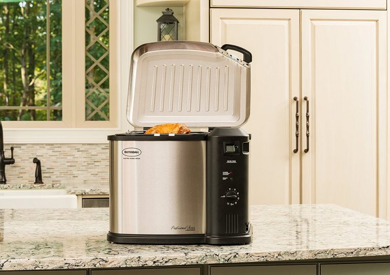 23011615 Butterball XL Electric Fryer Review 2021