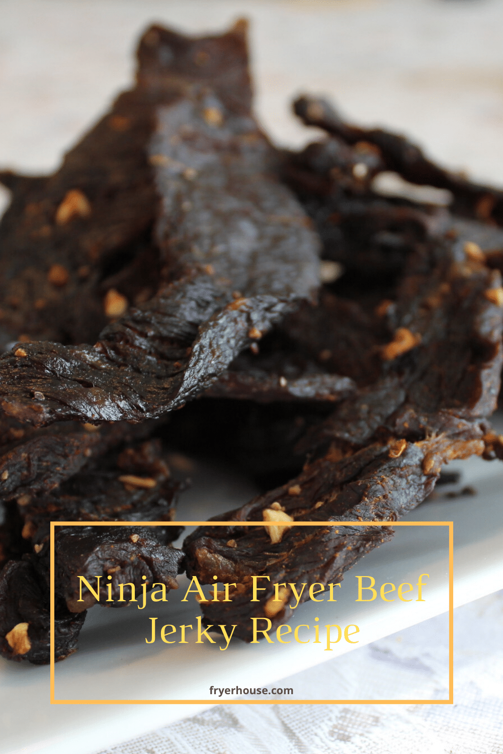 Ninja Air Fryer Beef Jerky Recipe